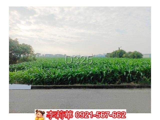 台南西港農地-3
