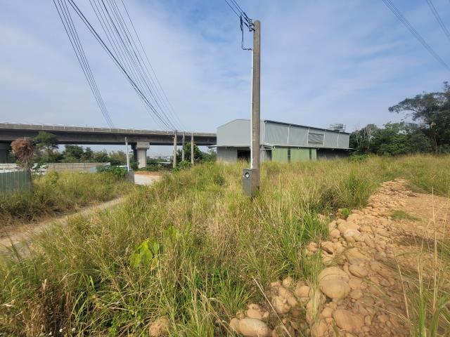沙鹿保護地-2
