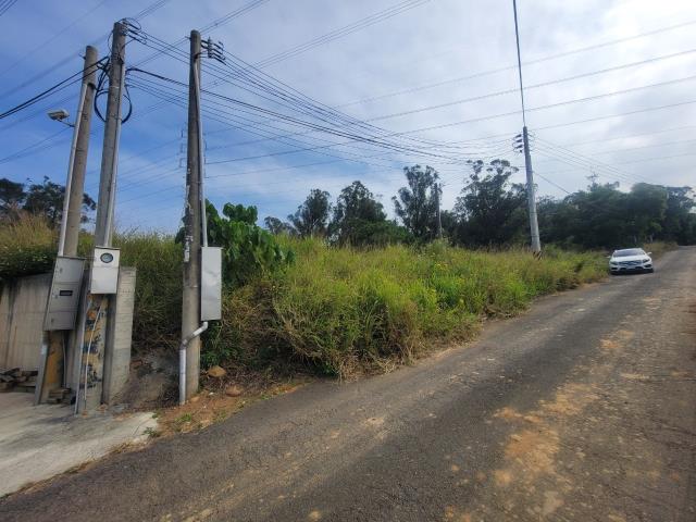 沙鹿保護地-4