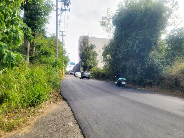 沙鹿保護地-5
