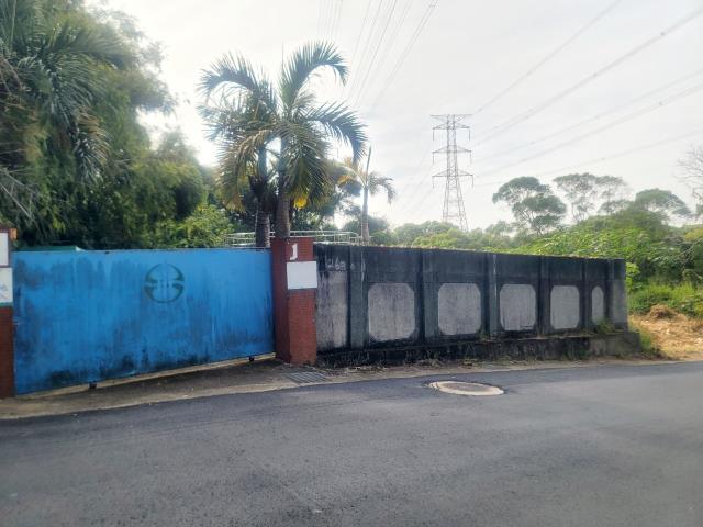 沙鹿保護地-6