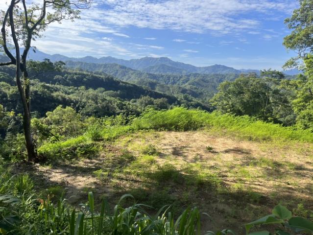 東勢山坡地-2