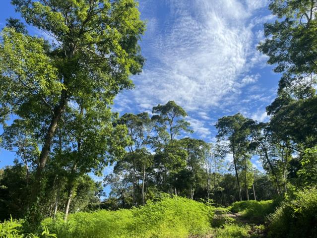 東勢山坡地-6
