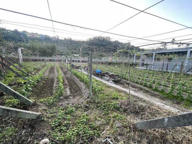 東勢農地-2