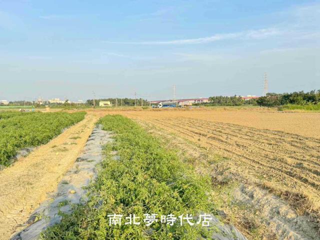 台南農地-3