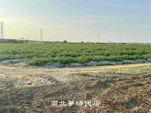 台南農地-6
