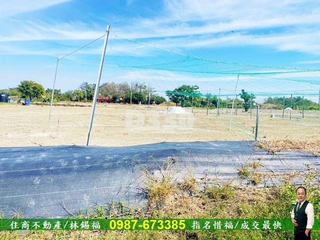 台南農地-4