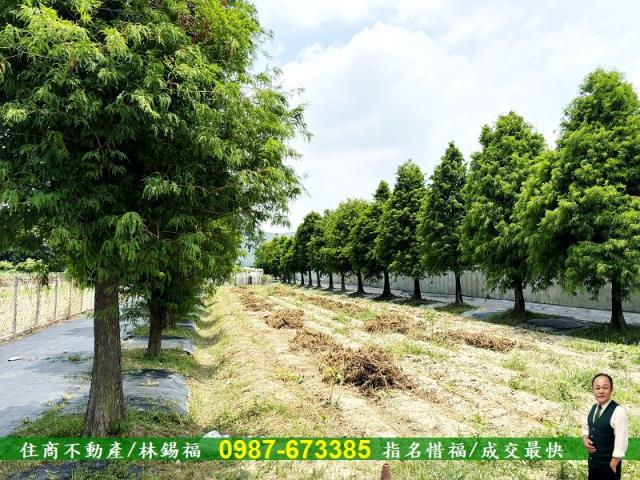 台南歸仁農地-5