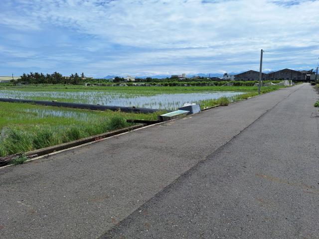 台南新市農地-2