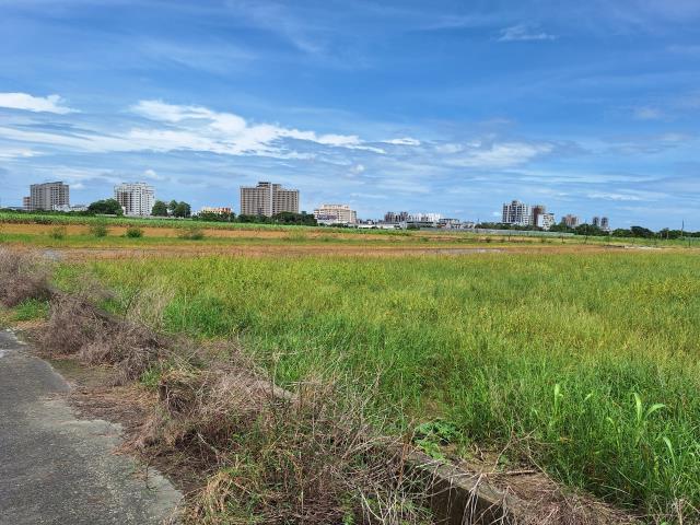 台南新市農地-4