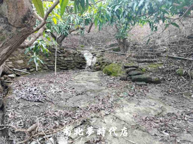 楠西農地-13