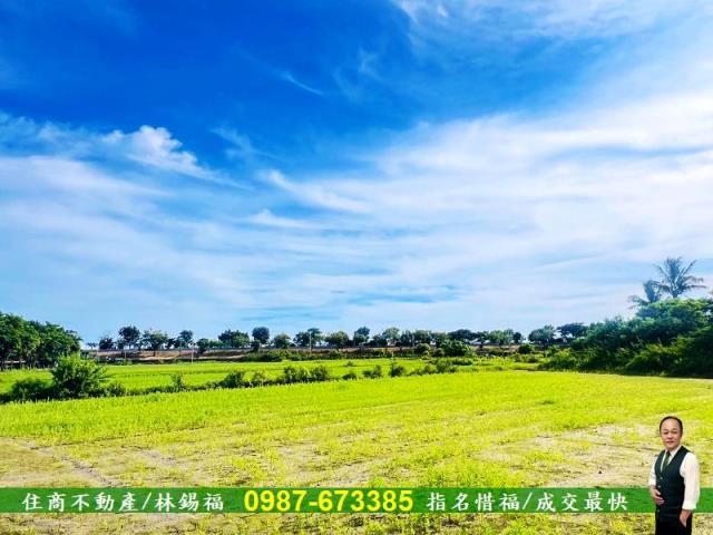 台南農地-3