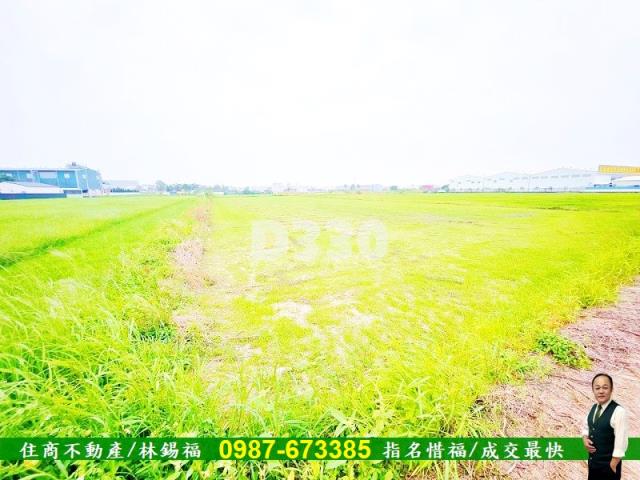 台南仁德農地-12