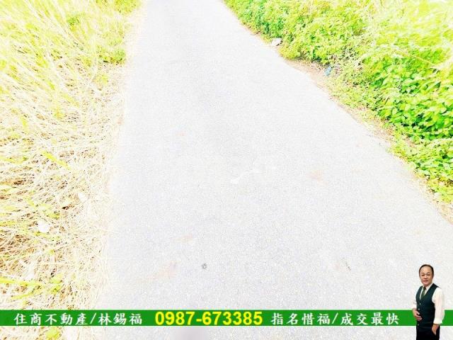 台南仁德農地-14