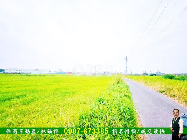 台南仁德農地-4