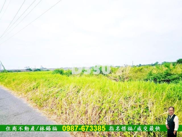 台南仁德農地-5