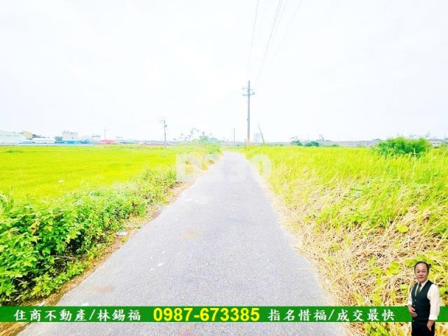 台南仁德農地-6