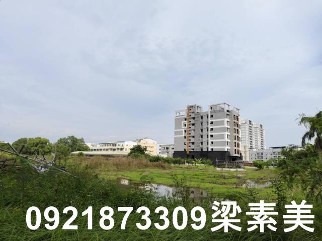 台南新市農地-3