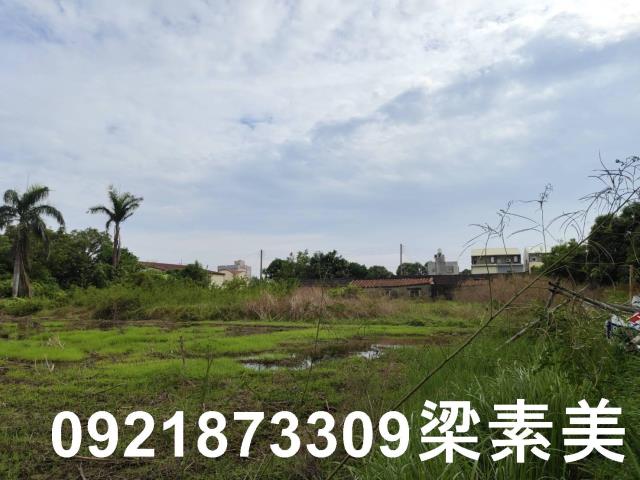 台南新市農地-4