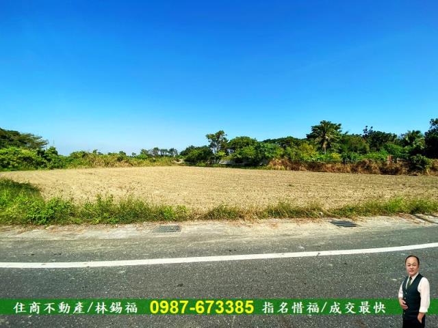 新化農地-2