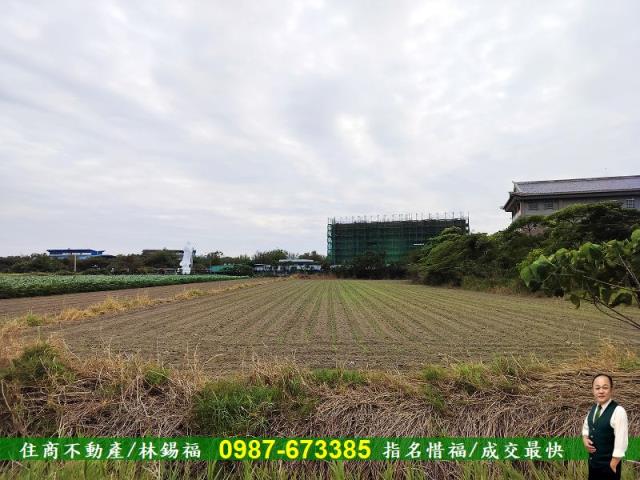 安定農地-2