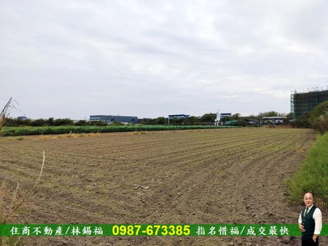 安定農地-3