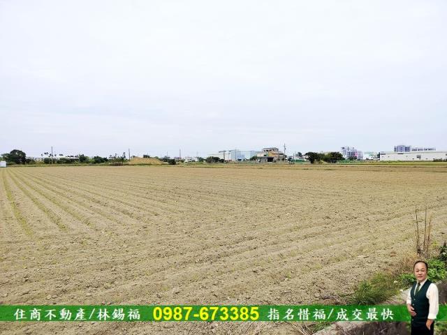 安定農地-5