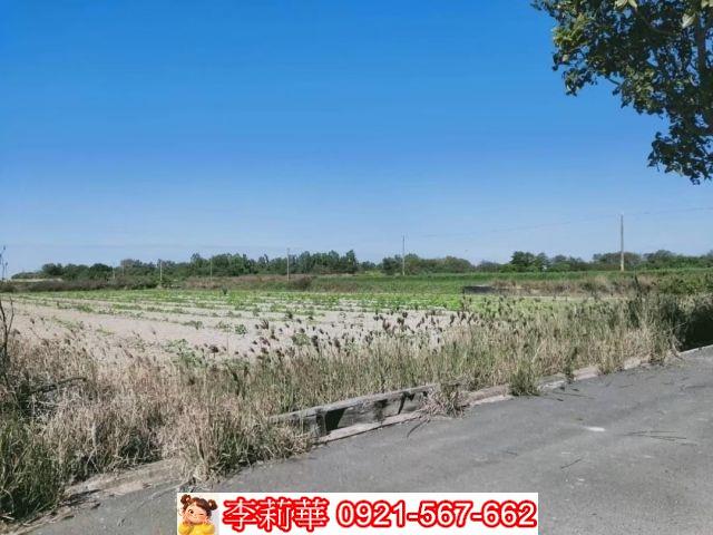 台南農地-10