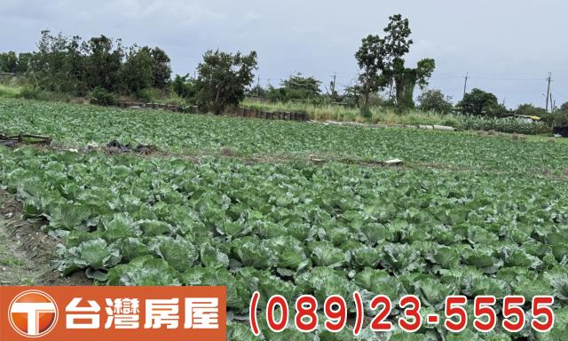台東台東市農地-9