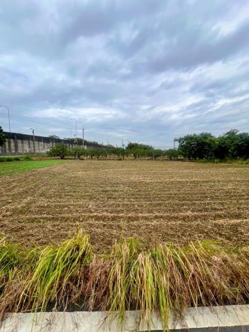 台南麻豆農地-3