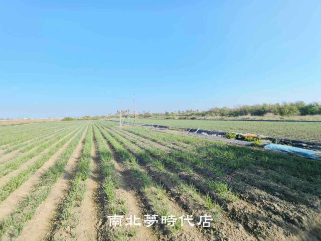 安南農地-10