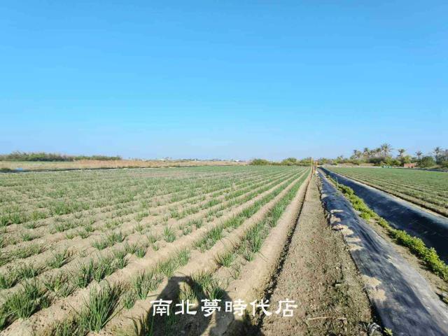 安南農地-5