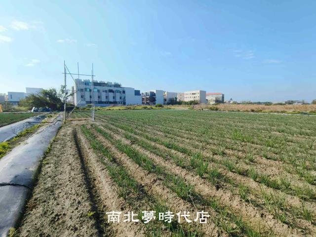 安南農地-6