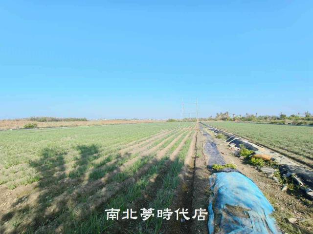 安南農地-9