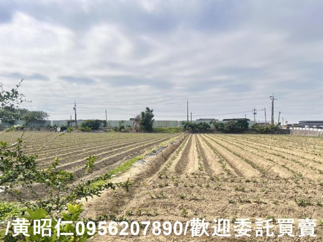 台南歸仁農地-6