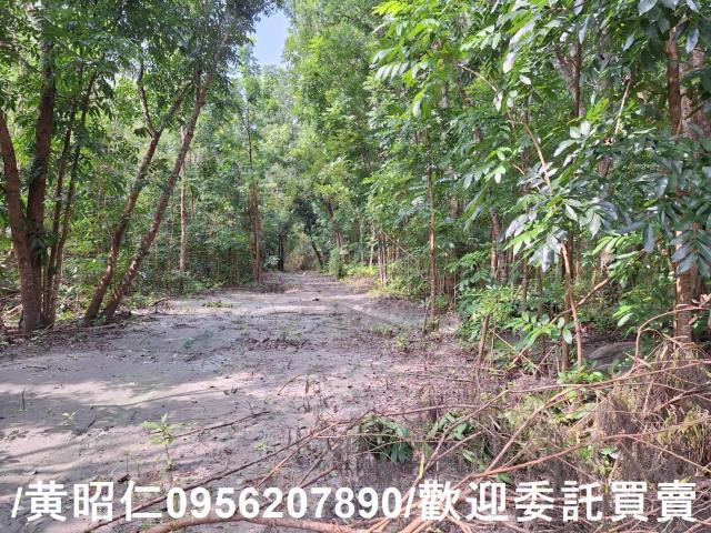 台南龍崎農地-5