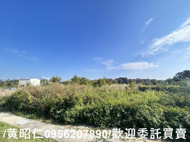 台南玉井農地-4