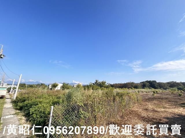 台南玉井農地-6