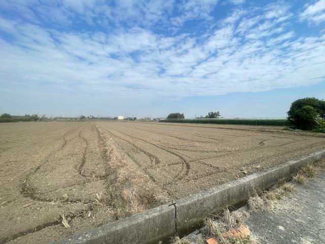 大林農地-2