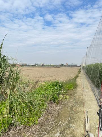 大林農地-3