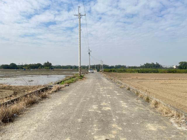 大林農地-6