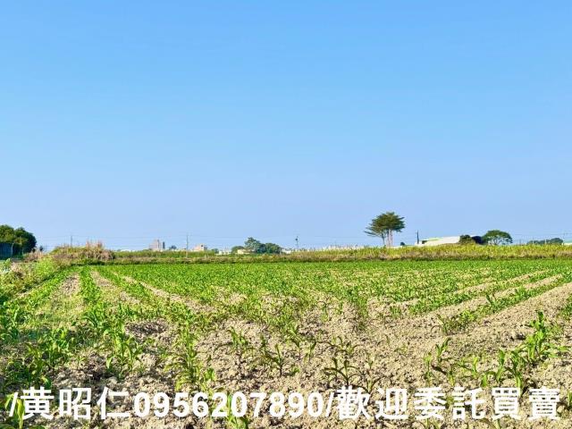 台南農地-2