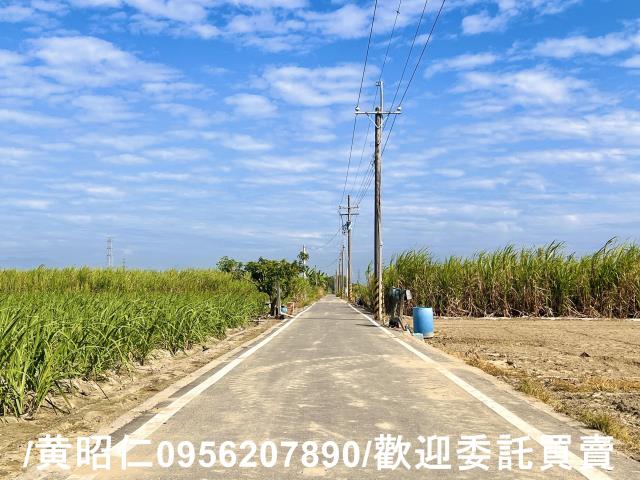 台南善化農地-4