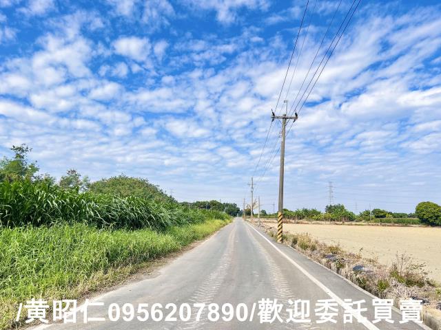 台南善化農地-5