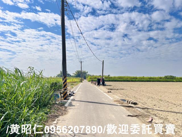 台南善化農地-6