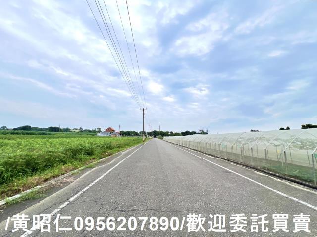 台南善化農地-7