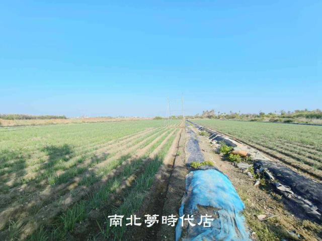 安南農地-2