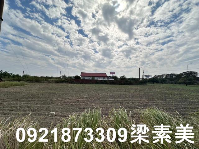 麻豆農地-1