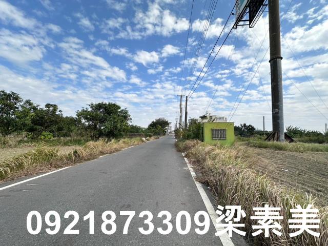 麻豆農地-2