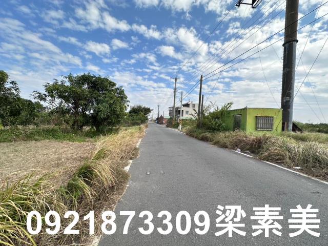 麻豆農地-6